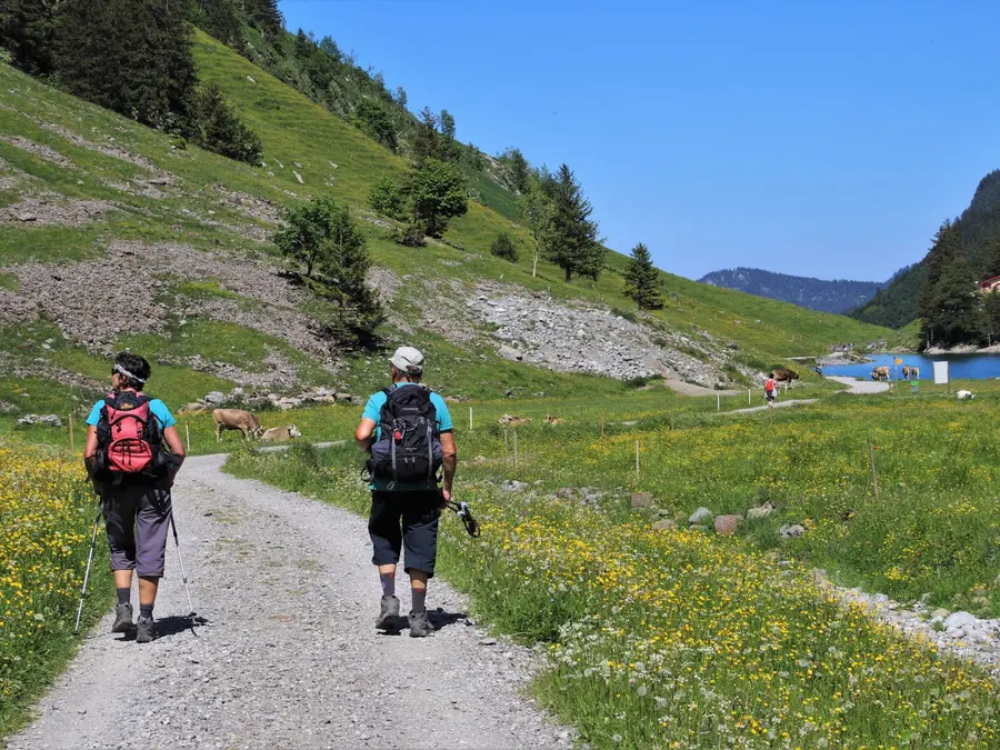 Zwei Wanderer mit Rucksack auf einem Weg durch eine Almwiese